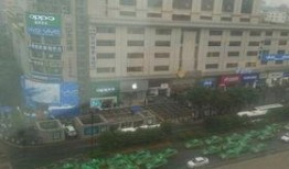 西安爆料最新今天,揭秘今日热点事件背后的真相